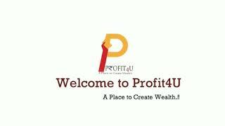 PROFIT4U-B2B (Introduction)