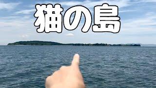 【いろんな島行ってみた】佐久島っていう島にいってみた！