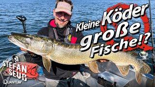 Kleine KÖDER - Große FISCHE!? | Hechtangeln im Herbst | METER-HECHT in letzter Sekunde!!!!