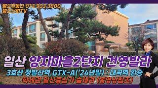 일산 양지2단지건영빌라,일산중심가,학세권,숲세권(동영상)월드신뢰 TV_안순옥 공인중개사is230