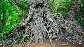 10 Days Building an Emergency Shelter Under a Big Tree, Woodworking and Confronting Wild Animals