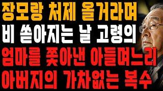 “비 쏟아지는데 나가라고요?” 장모랑 처제 불편할거라며 폭우에 고령 엄마를 내쫓은 아들며느리에 되갚아준 할아버지 | 사는 이야기 | 노년의 지혜 | 오디오북