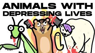 Animals With The WORST Lives