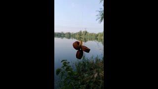 Carpfishing