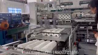 Toilet Paper Rolls And Kitchen Towel Rolls Wrapping Packaging Machine Testing to Ship to Korea