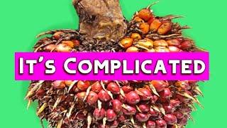 PALM OIL - The Good, The Bad & The Oily