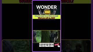 ⬜ 312 WONDER ⬜ #Movie #Script #영화 #영어대사 #1분반복영어 #원더 #movie #Wonder #영어회화 #영어공부 #영어