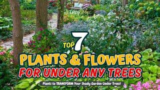 TOP 7 Plants to TRANSFORM Your Shady Garden Under Trees! 