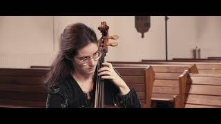 What's in a name: the 'violoncello' between 1600-1700 | Complete Concert | Castello Consort (live)