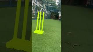 Stump loneliness story. #performance #stumps #cricket #ipl #trending