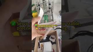 Cost-Effective Smart Feeder | Servo-Driven Efficiency