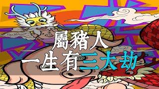 屬豬人一生有三大劫，你中了哪一個？快來看看如何化解吧！看看你出生的時間有沒有苦難多的命運，以及如何改善！【佛語】