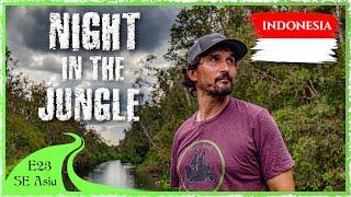 $500 for 1 NIGHT in the Jungle of Borneo – This is why it’s WORTH it [SE E23]