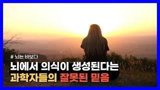 생각과 의식은 어디서 생성되며 마음의 실체는 무엇일까?｜뇌는 바보다