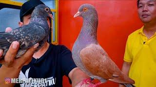 KEMBARAN JOWO ANAK LONDO ft TJAN BILLY