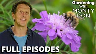 Why Bees Are Essential For Your Backyard! | FULL EPISODES | Season 6 | Gardeners' World