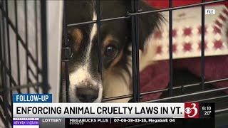 New Vt. animal welfare provisions could take months to implement