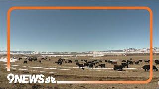 Colorado Parks and Wildlife Commission agrees to pay 2 ranchers more than $300k