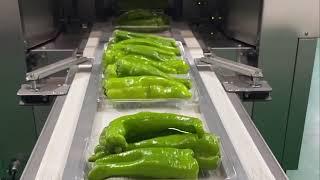 Pepper packaging line/ Packing Fruit&Vegetable /Automatic stretch film wrapperAR25