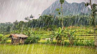 Finding peace!! Walk in the heavy rain in my village, Rainy day find happiness, Looking for life