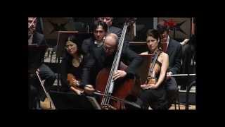 Frank Proto: A Carmen Fantasy. Emil Tabakov: Motivy VII - Diego Zecharies, contrabajo