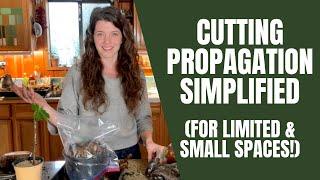 Cutting Propagation Simplified: For Limited Time & Small Space!