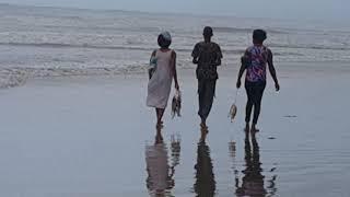 Residents of Agaja harvesting the dead Croaker washed ashore by the waves from the Atlantic Ocean