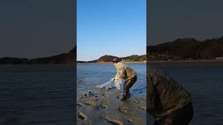 겨울 바다투망 했더니... #화성이반장 #shorts
