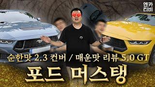 가장 미국스러운 머슬카 7세대 포드 머스탱 "2.3에코부스트:컨버 l 5.0GT 쿠페" 비교 시승기