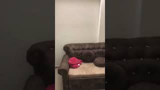 JAI SHREE RAM 2BHK FULLY FURNISHED FLAT ON RENT IN VIRAR GLOBAL CITY MORE QUERIES  CALL 9372390093