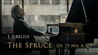 Jean Sibelius - The Spruce, Op. 75 No. 5 | Janne Mertanen, piano (BMPCC 4K Cinematic Music video)