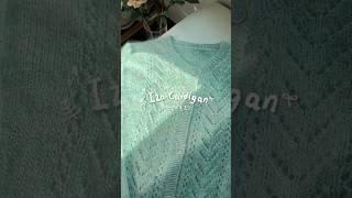 Iza Cardigan 뜨개로그