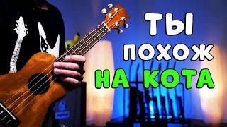 zhanulka - ты похож на кота | разбор на укулеле, как в оригинале