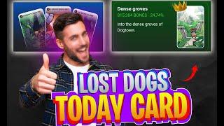 Lost Dogs Today Card | how to find lost dogs right card