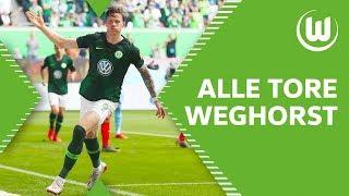 Volltreffer! Alle Tore von Wout Weghorst 2018/19