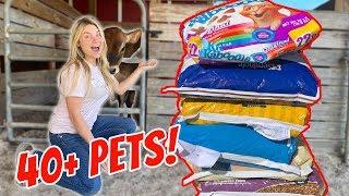 BUYING FEED FOR ALL MY PETS In One Video! 40+ Pets!