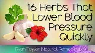 16 Herbs that Lower Blood Pressure (Naturally and Quickly)