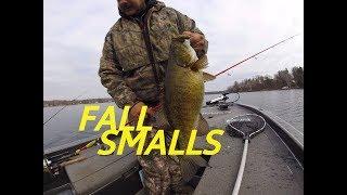 Over 25lbs Of Michigan Fall Smallmouth Bass