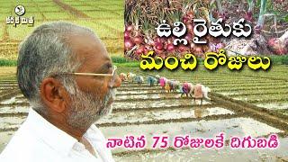 ఉల్లి పంట సాగులో ఆదర్శ రైతు || Success Story of Onion Cultivation || Karshaka Mitra