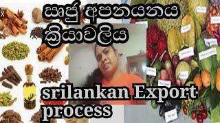 How to start export business /tips for export  business sinhal /export  business ideas sinhal