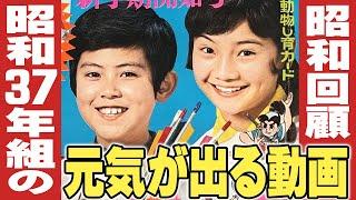 昭和37年組の元気が出る動画 【伊東彩のほんのり昭和回顧】