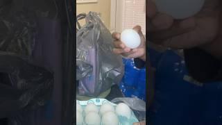 I paid for broken eggs  do better Walmart #walmarthaul #groceryhaul #egg #groceryhaul  #subscribe