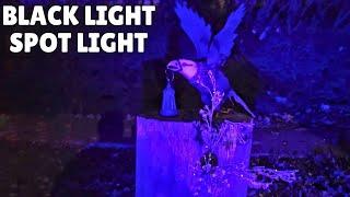 Black Light Spotlight | Halloween Spotlight