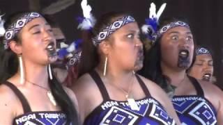 TAIWHAKAEA - Te Toki 2017