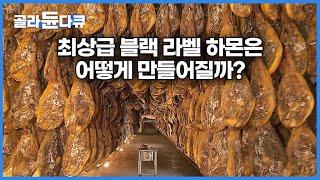 전 세계 유명 셰프들이 예약부터 하는 천상의 식재료｜최상급 블랙 라벨 하몬은 어떻게 만들어질까?｜다큐프라임｜#골라듄다큐