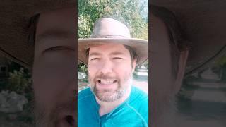 JORDAN PETERSON ACADEMY? #jordanpeterson #education #mattdillahunty #samharris #pangburn