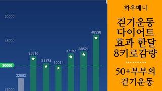 걷기운동 효과 한달 8키로 감량 중년 다이어트 식단 Healthy  walking diet