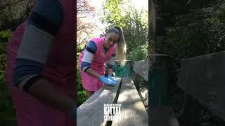 Mirianna im rosa DDR #Dederonkittel und blauen #nitrile  Handschuhen im Stadtpark #shorts