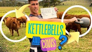 What Are Kettlebells, Why They Benefit Older People and Why Cows?