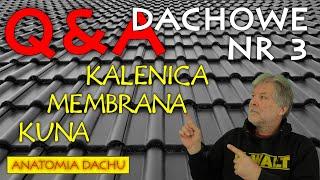 DACHOWE Q&A nr 3. Trochę o kalenicy, o membranach i papach, o kunach o o dachówkach.